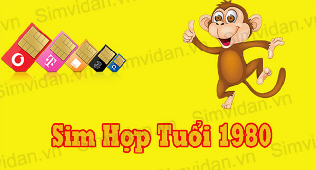 sinh nam 1980 hop sim nao bat mi cach chon sim phong thuy hop tuoi canh than